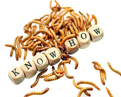 作文素材积累 | 「100个超棒的作文金句，抓紧背起来」