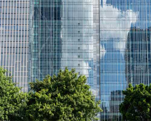 30名海外青年侨领齐聚广州体会建设成就