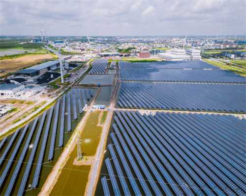 五年级作文《写读后感》，一句一句教，不怕你不会，就怕你不学