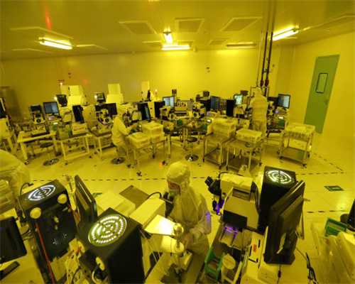 和宠物有关的6个小故事，看着看着眼泪就流下来了