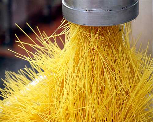 爱护野生动物、禁食野生动物倡议书