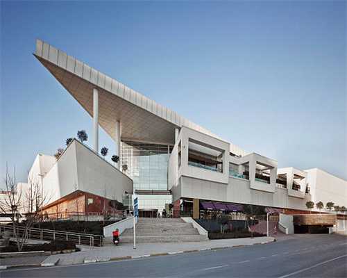 描写猫的优秀作文（精选54篇）