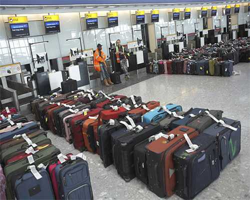 生物多样性保护优秀征文作品（1）| 从逮麻雀到保护麻雀