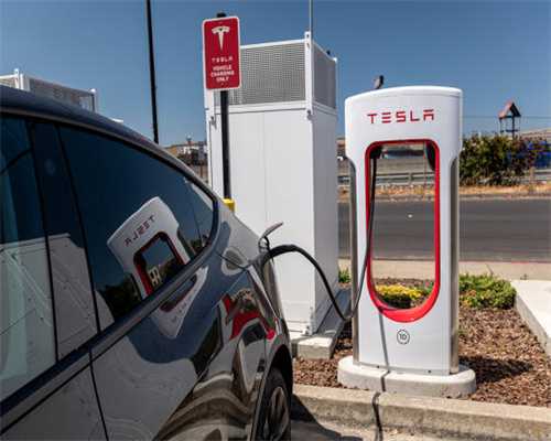 感悟春天的作文（精选105篇）