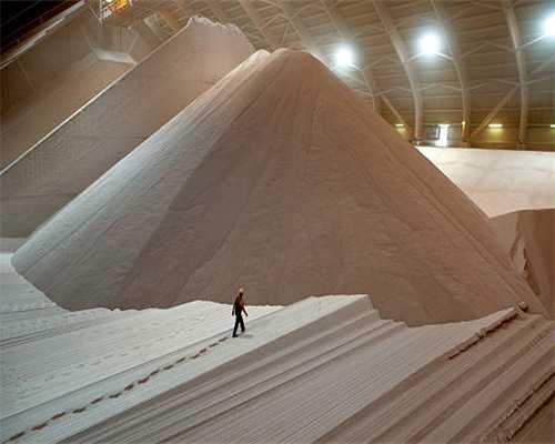 中考满分作文：人间自有真情在！（世间万物唯真情永不变）